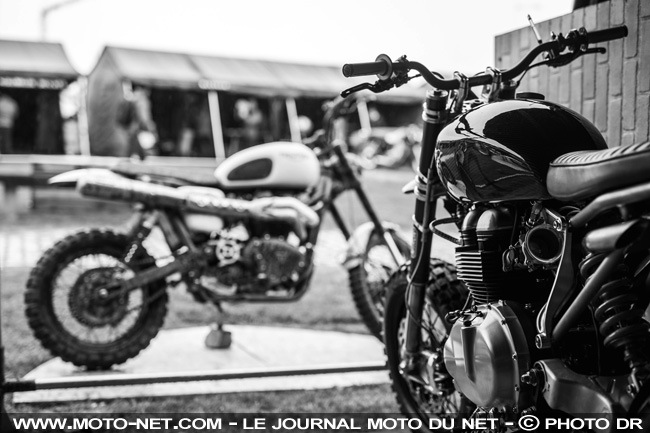 Galerie photo : les plus belles Triumph de Wheels and Waves