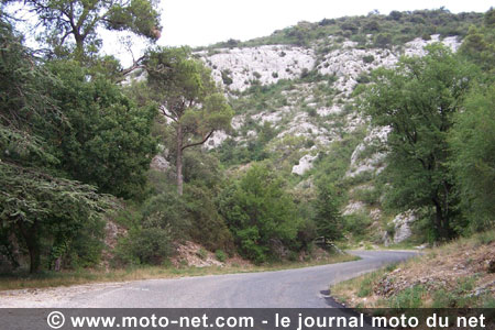 Edition Spéciales : les recos du Dark Dog Moto Tour 2006