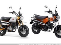 Illustation de : Nouveaux coloris des Honda Dax et Monkey 2026
