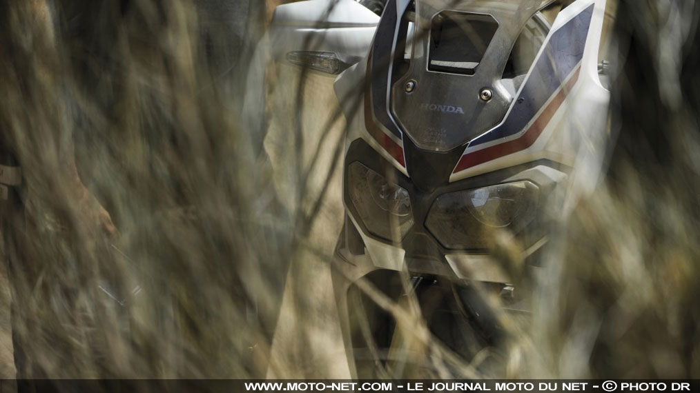 La Honda Africa Twin pourrait baisser de cylindrée mais pas augmenter 