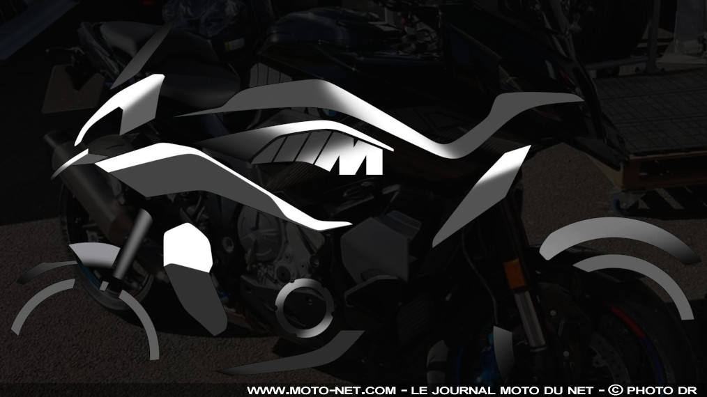 Ailettes carbone vernis pour BMW S1000RR S1000R - Moto Vision