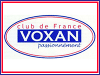Le Voxan Club de France veut racheter la marque Voxan
