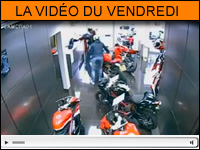 Vidéo moto du vendredi : Touche pas mes motos !