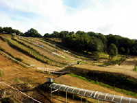 La FFM achète le circuit de motocross d'Edern