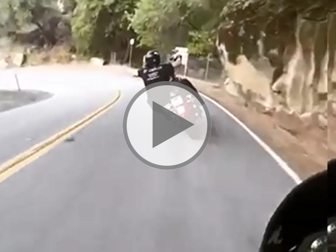 Vidéo moto du vendredi : L'anti-préjugés sur les customs Harley-Davidson !