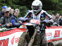 GP du pays de Galles : pluie de victoires pour les pilotes français !