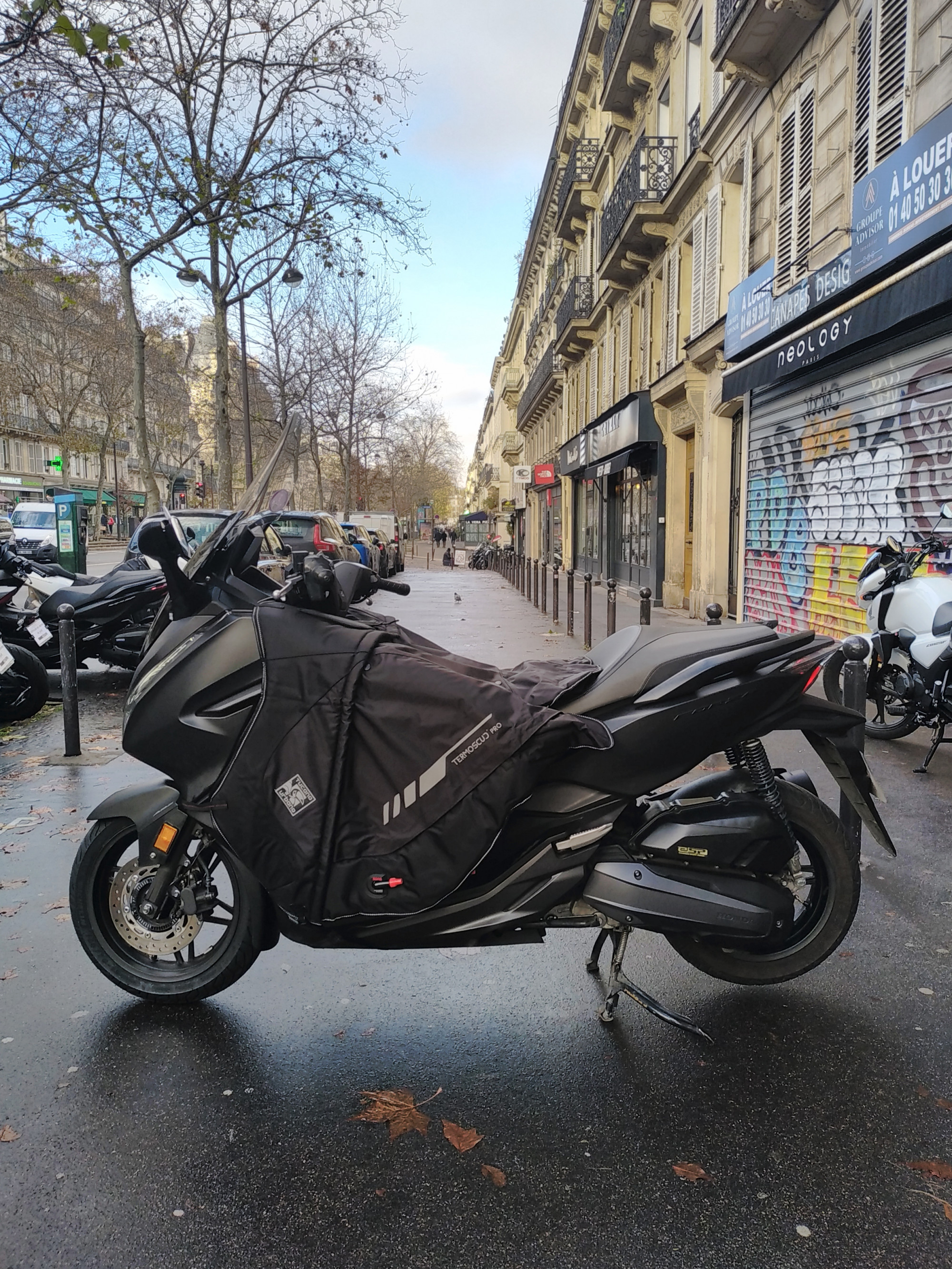 HONDA 125 NSS FORZA  125AD