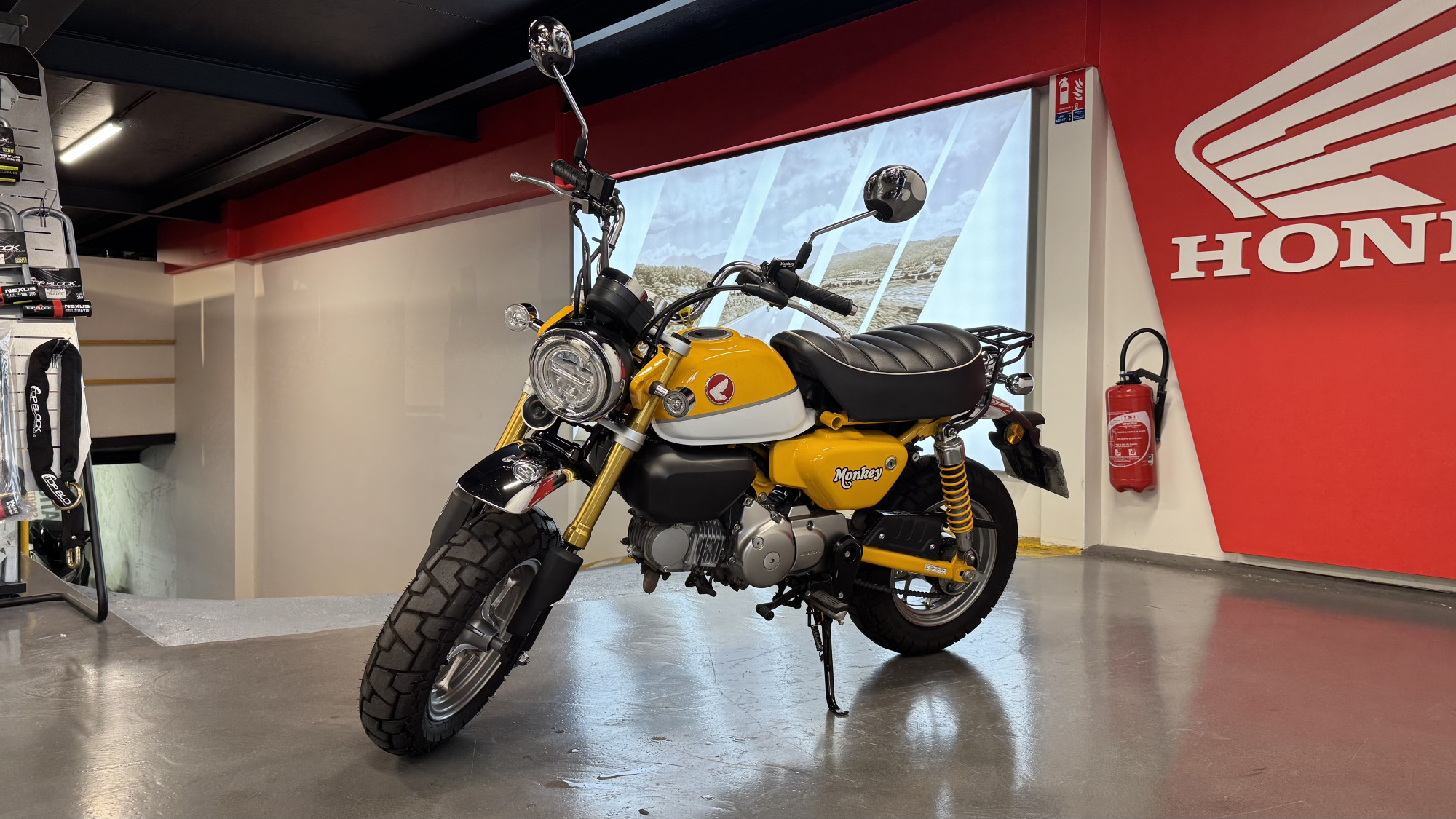 HONDA 50 Z50 MONKEY