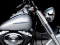 Série limitée Platinum pour Harley