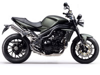 Le Speed Triple 2010 se veut plus conciliant