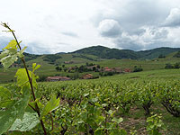 43ème Rallye du Beaujolais 2007 : le Chevalier en maître absolu !