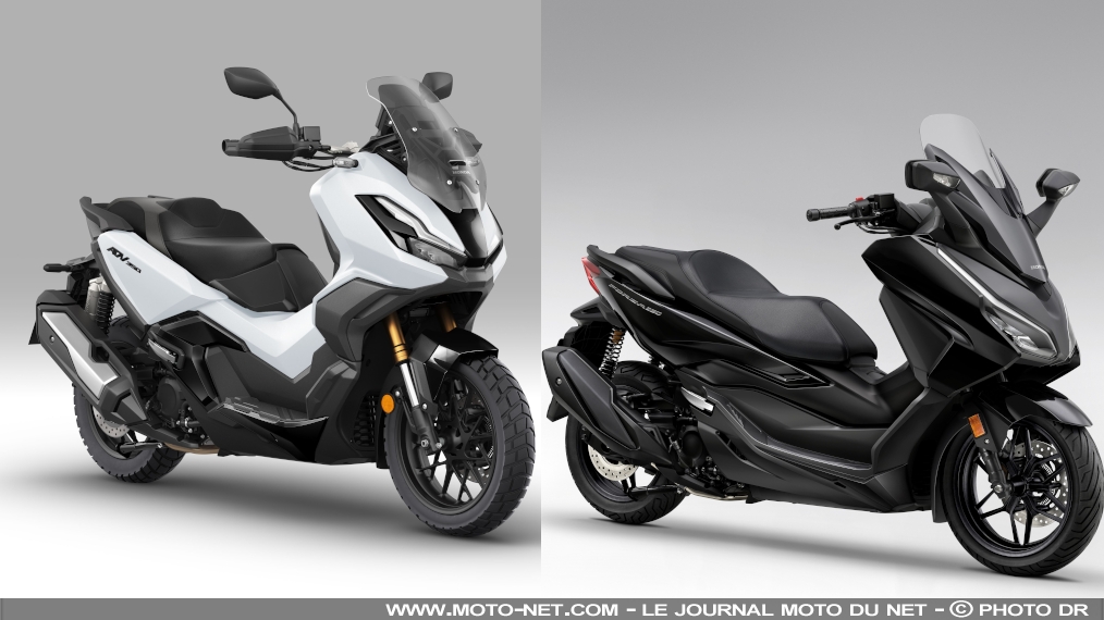 Les nouveaux coloris des scooters Honda Forza et ADV350 2024