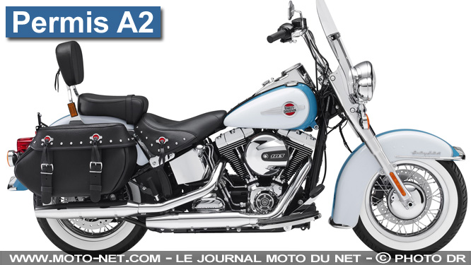 Les 18 motos Harley-Davidson accessibles aux permis A2