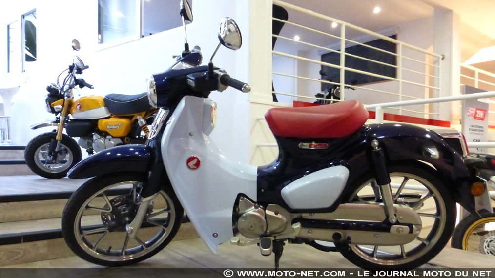 Honda confirme l'arrivée des nouveaux Monkey et Super Cub en France