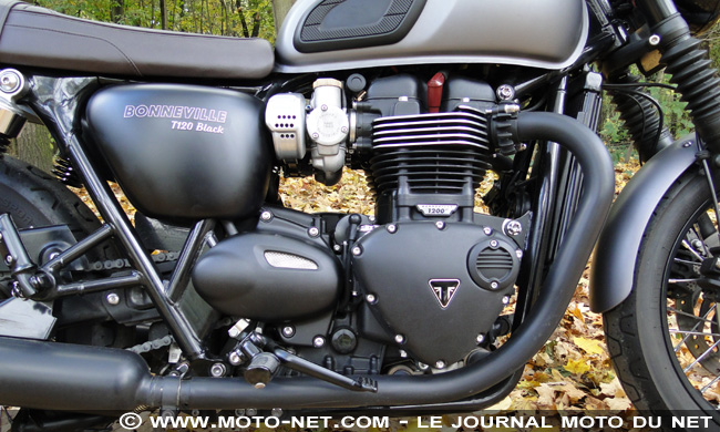  Duel nineT Scrambler Vs T120 Black : t'as le look bobo !