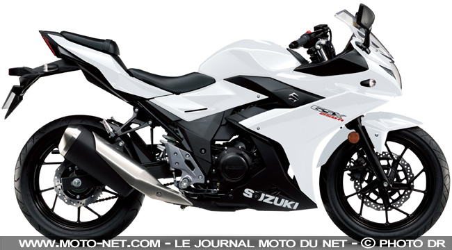 Suzuki GSX-R250 2017 : premières informations