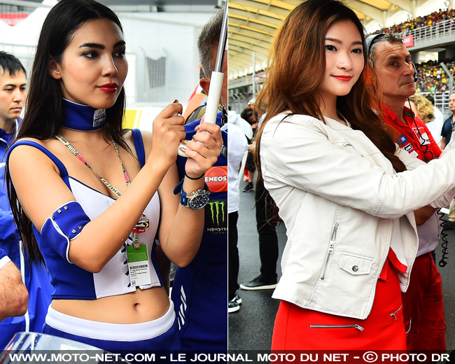 L'umbrella girl la plus sexy du GP de Malaisie 2016