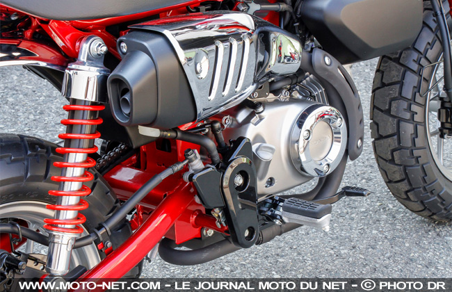 Nouveauté Honda 2018 : back in Monkey business 