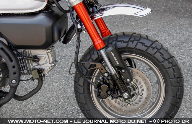 Nouveauté Honda 2018 : back in Monkey business 
