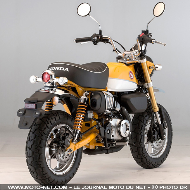 Nouveauté Honda 2018 : back in Monkey business 