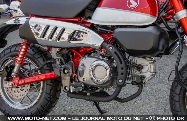 Nouveauté Honda 2018 : back in Monkey business 