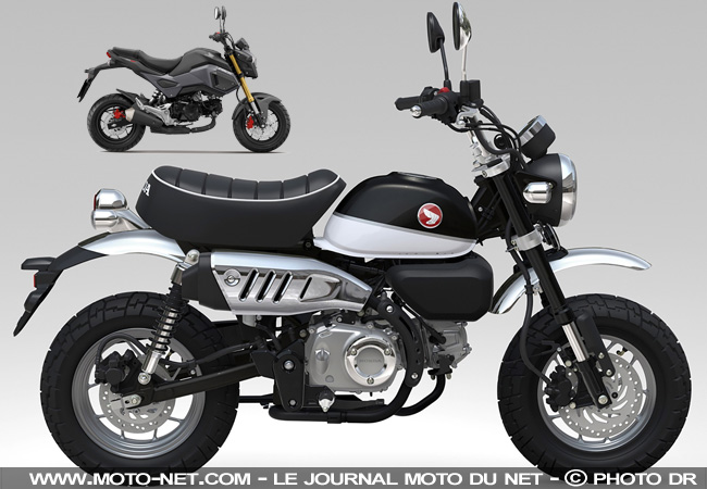 Nouveauté Honda 2018 : back in Monkey business 