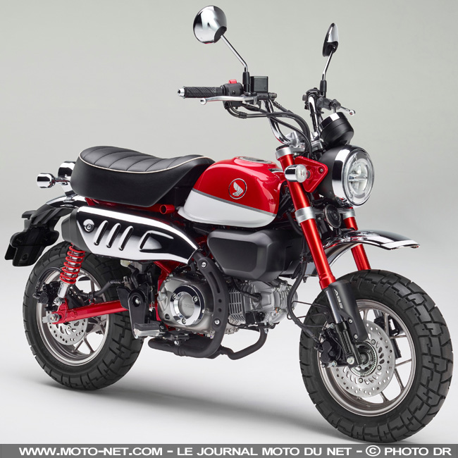 Nouveauté Honda 2018 : back in Monkey business 