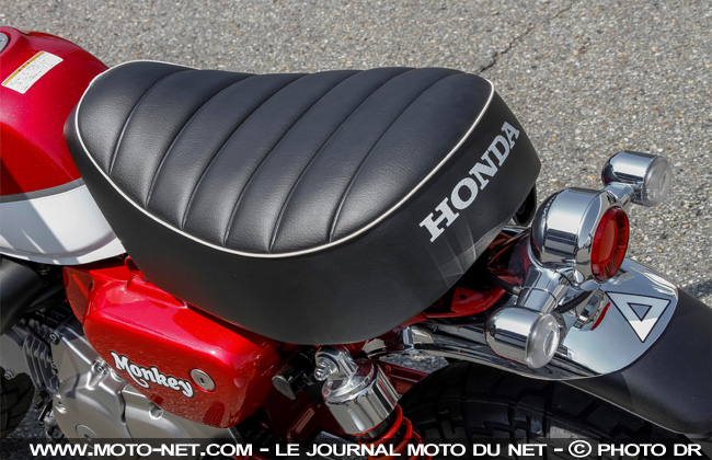 Nouveauté Honda 2018 : back in Monkey business 
