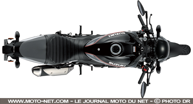  Suzuki SV650X 2018 : premières informations sur le Café Racer