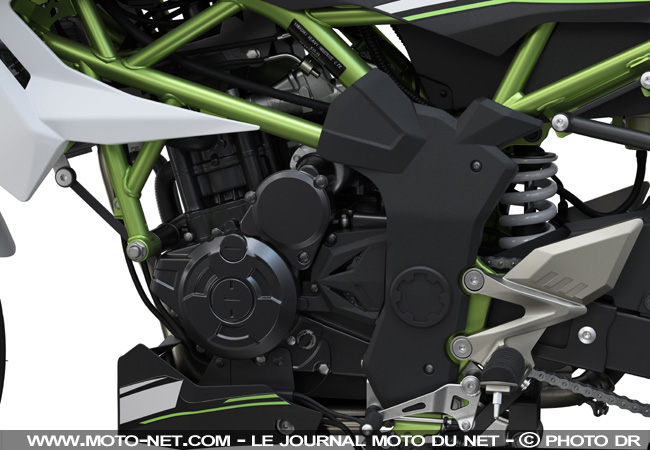  Kawasaki Z125 et Ninja 125 : pour motards de génération Z ou ZX-R ?