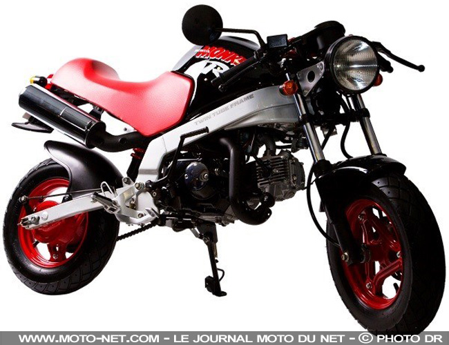 Nouveauté Honda 2018 : back in Monkey business 