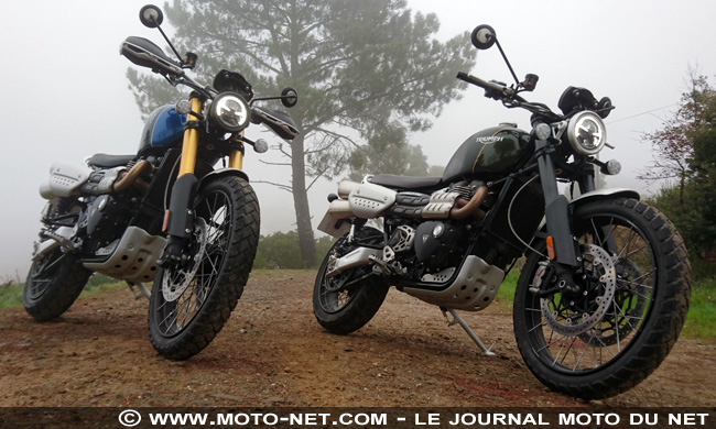 Chute à moto : quand Moto-Net.Com s'offrait une bûche pour Noël