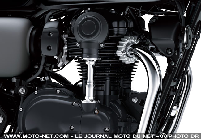 Kawasaki W800 Street et W800 Café 2019