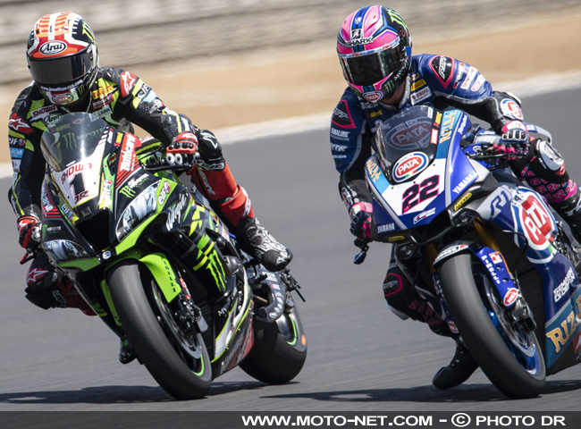 Alex Lowes roulera avec - contre ! - Rea dans le team Kawasaki en WSBK 2020