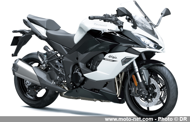 Kawasaki Ninja 1000SX 2020