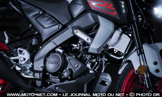  Yamaha dévoile pour 2020 une MT-125 plus sophistiquée... et plus MT !