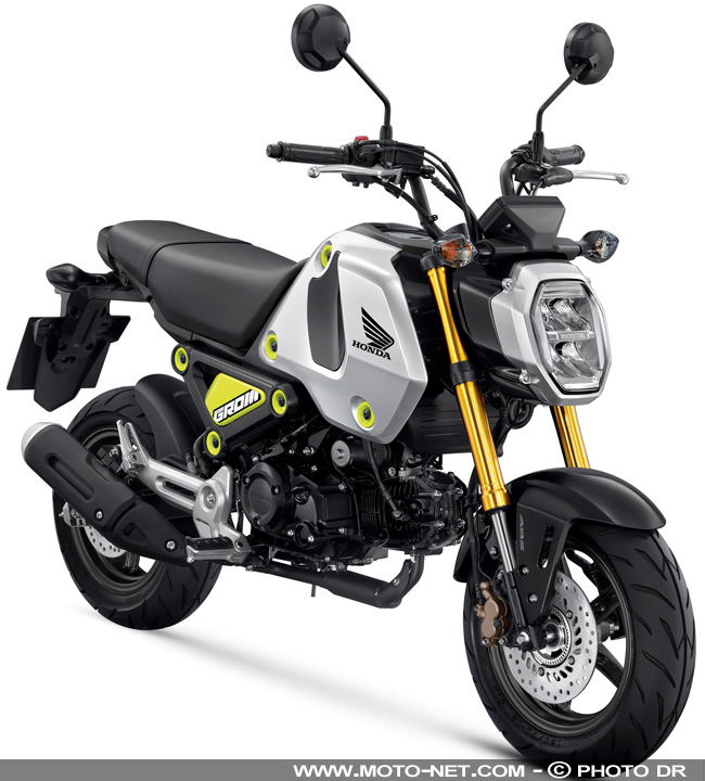 Motos - Honda MSX125 Grom : mini moto, maxi succès et gros taro