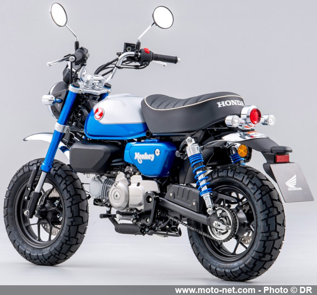  Honda Monkey 2022 : en bleu et qualifié pour l’Euro 5 !