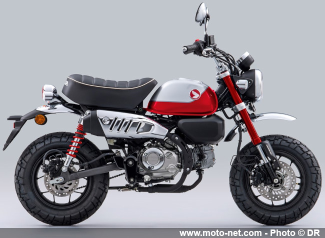  Honda Monkey 2022 : en bleu et qualifié pour l’Euro 5 !