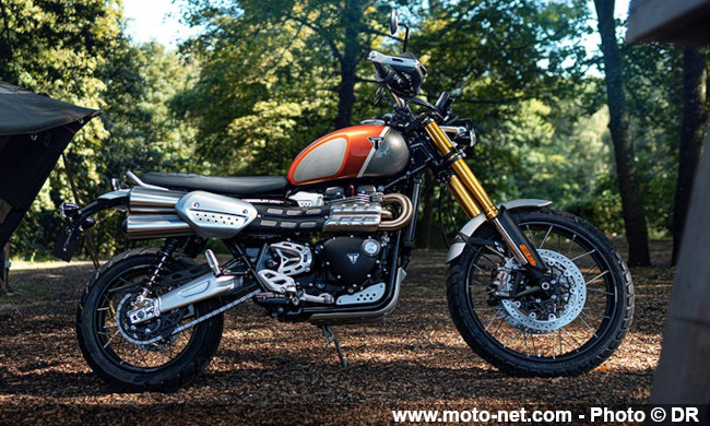  Gold Line Edition : Triumph enrichit sa gamme Modern Classics en 2022