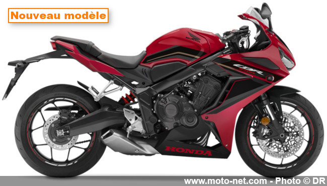 Nouveaux coloris pour la Honda CB650R, nouvelles décos pour la CBR650R