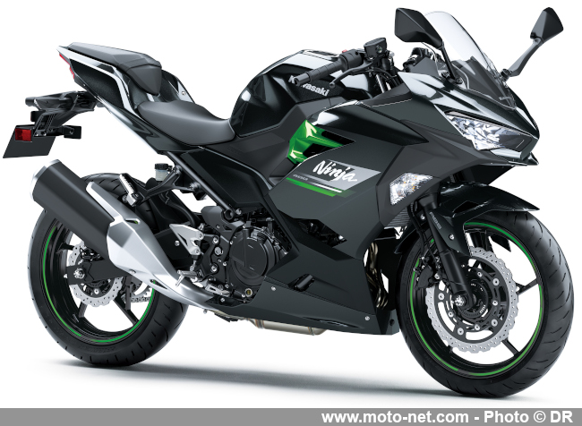 Roadster Z400 et sportive Ninja 400 : Kawasaki rejoue les 400 coups en 2023