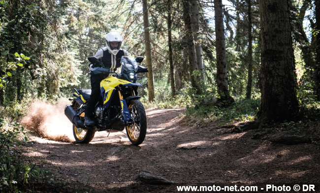 V-Strom 800 DE : le petit trail Suzuki prend du muscle et de la hauteur 