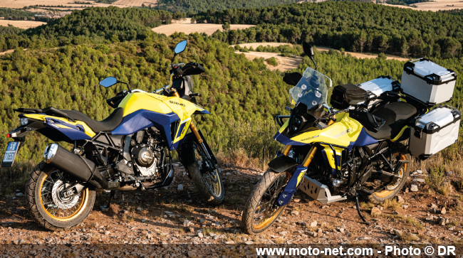 V-Strom 800 DE : le petit trail Suzuki prend du muscle et de la hauteur 