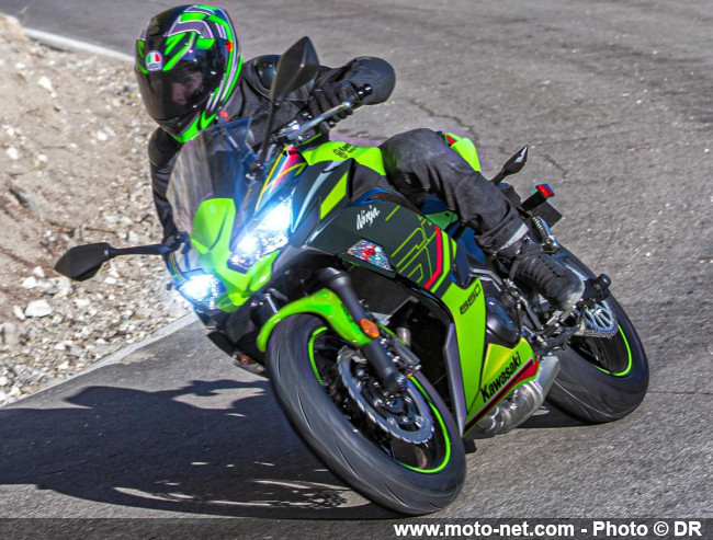 Disponibilité et tarifs des Ninja ZX-4R et ZX-6R... et rivales !