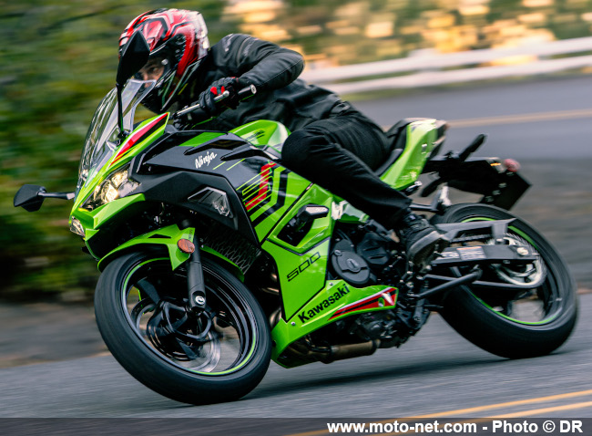 Z500 et Ninja 500 : Kawasaki gonfle un peu ses moyennes cylindrées