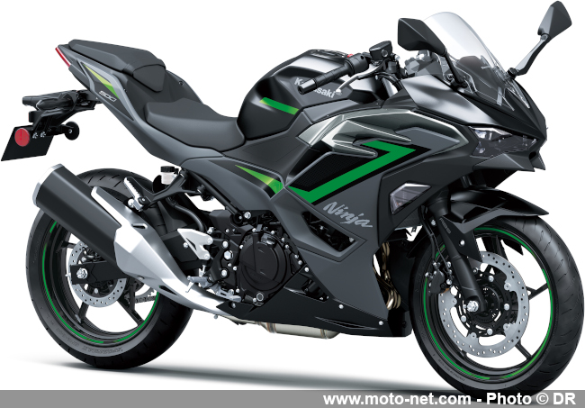 Z500 et Ninja 500 : Kawasaki gonfle un peu ses moyennes cylindrées