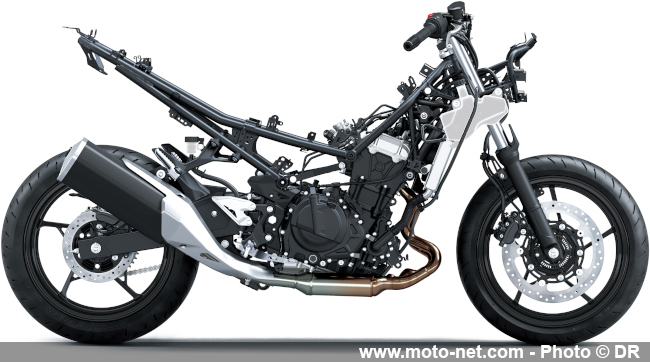 Z500 et Ninja 500 : Kawasaki gonfle un peu ses moyennes cylindrées