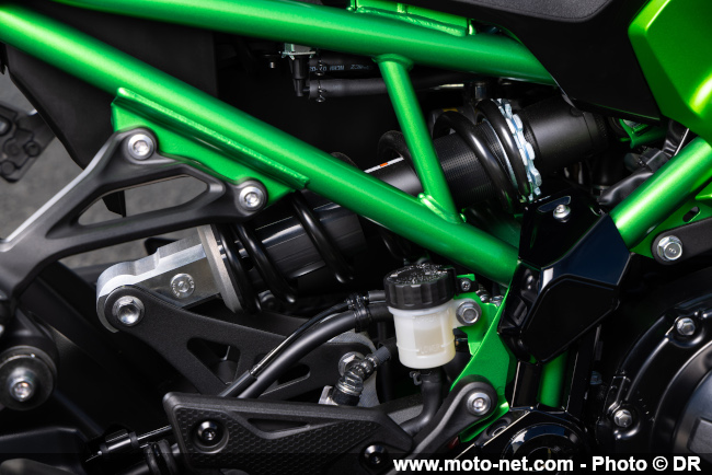 Essai Z900 2025 : Kawasaki met à jour son best-zeller ! 
