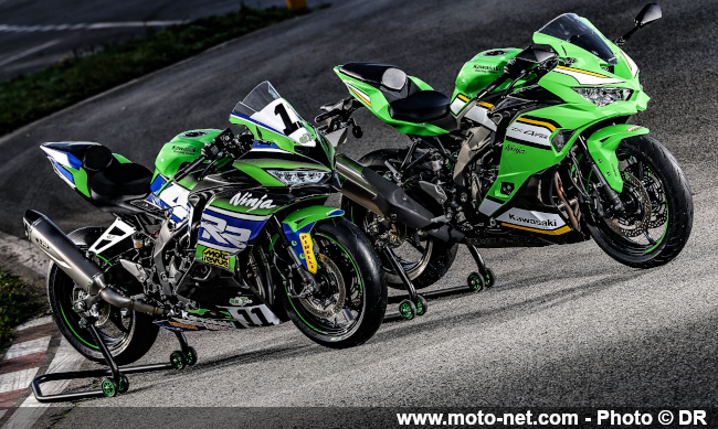 La Coupe Kawa redémarre en 2026 sur des Ninja ZX-4RR  
